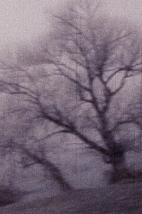 Travelogue backdrop