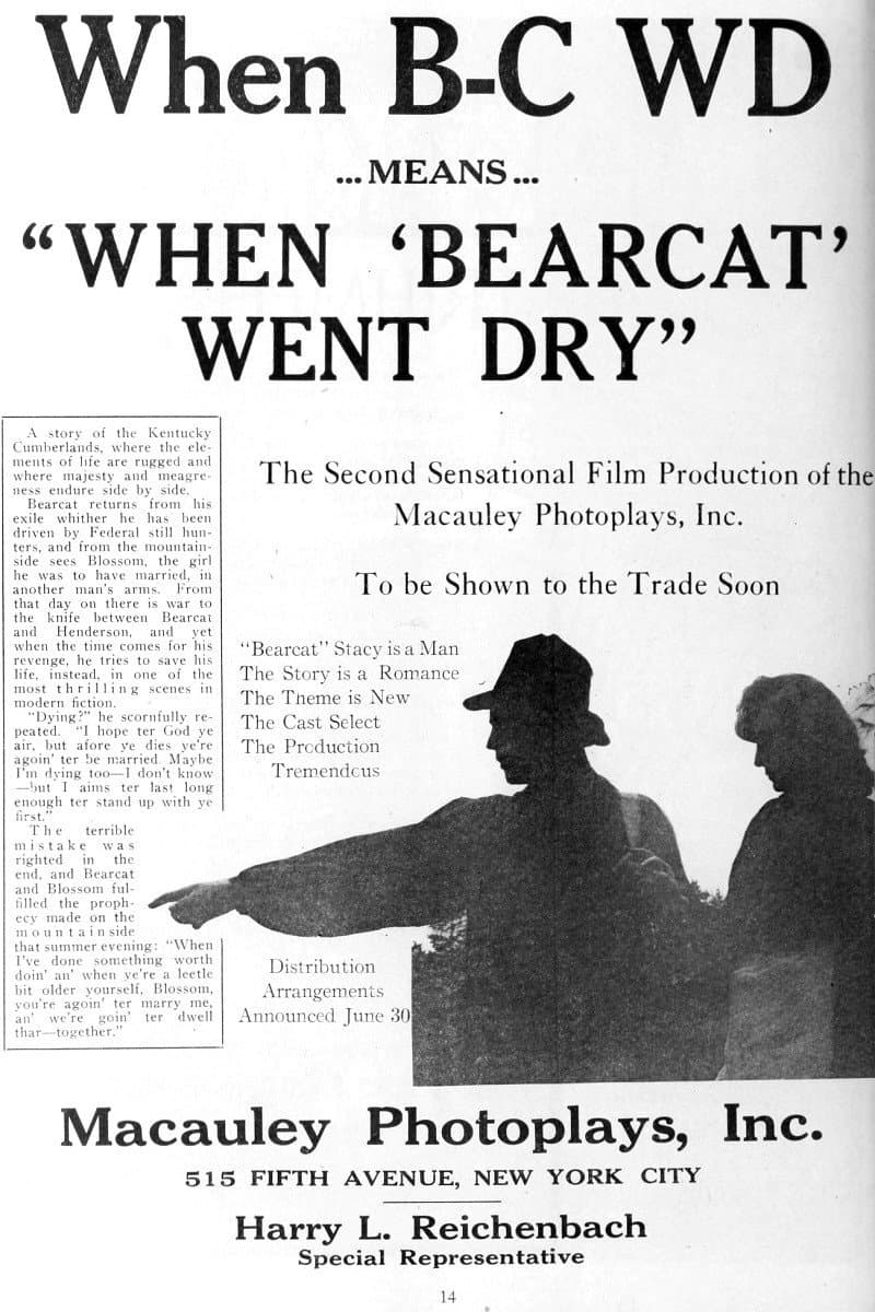 When Bearcat Went Dry backdrop