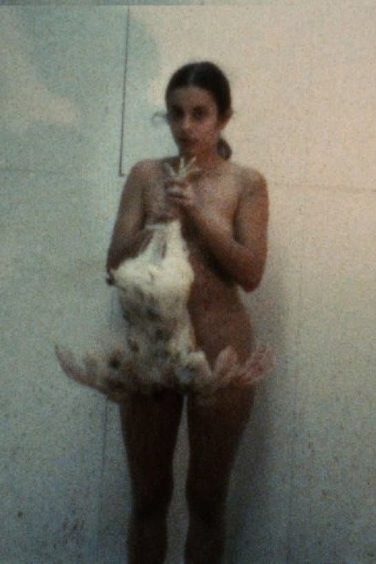 Chicken Movie, Chicken Piece backdrop