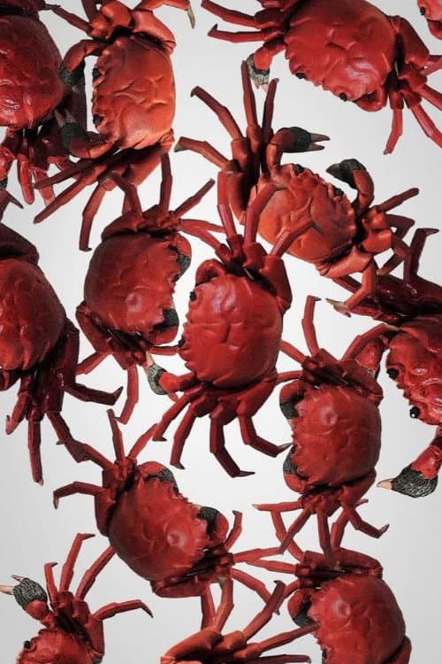 The Crab House backdrop