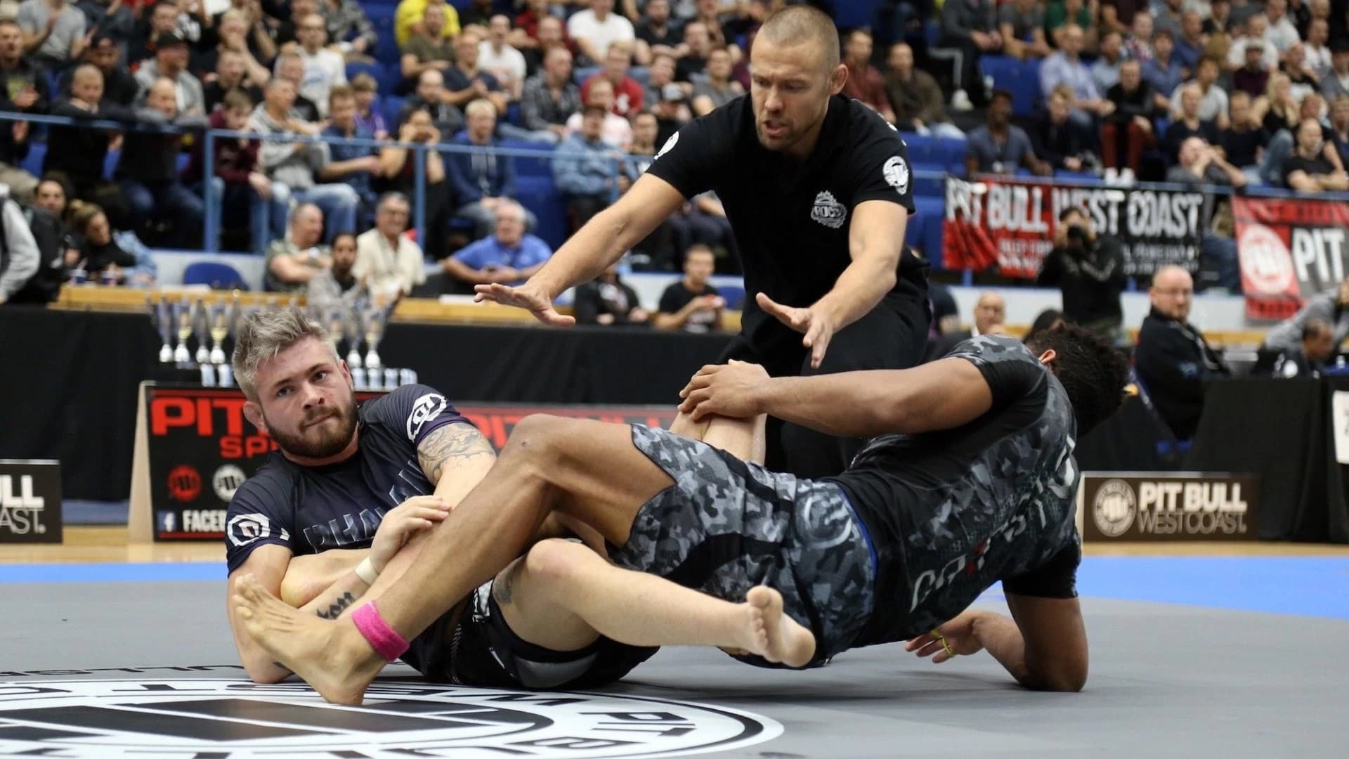 Leglocks: Enter The System by John Danaher backdrop