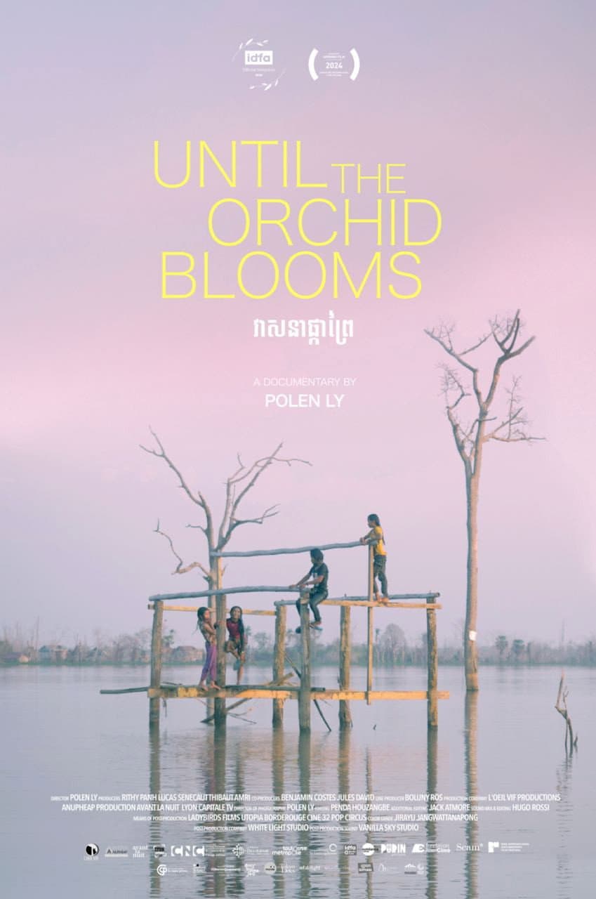 Until the Orchid Blooms backdrop