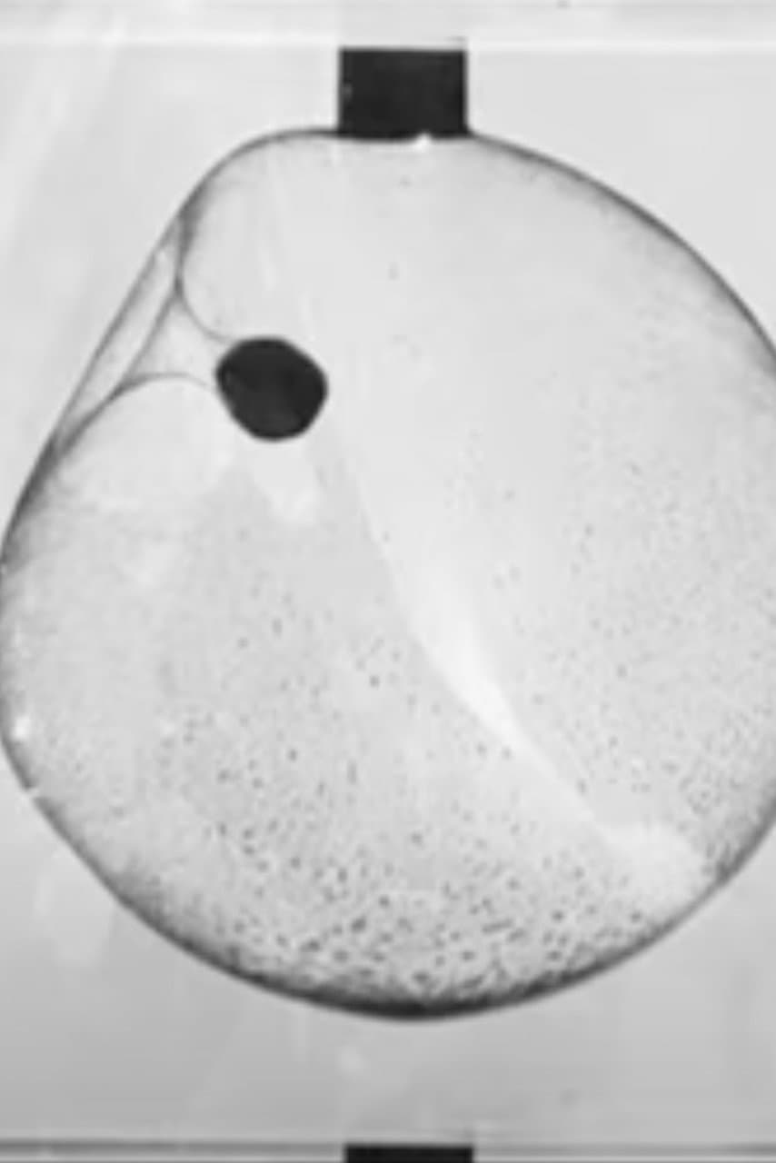 Ball Passing Through a Soap Bubble backdrop