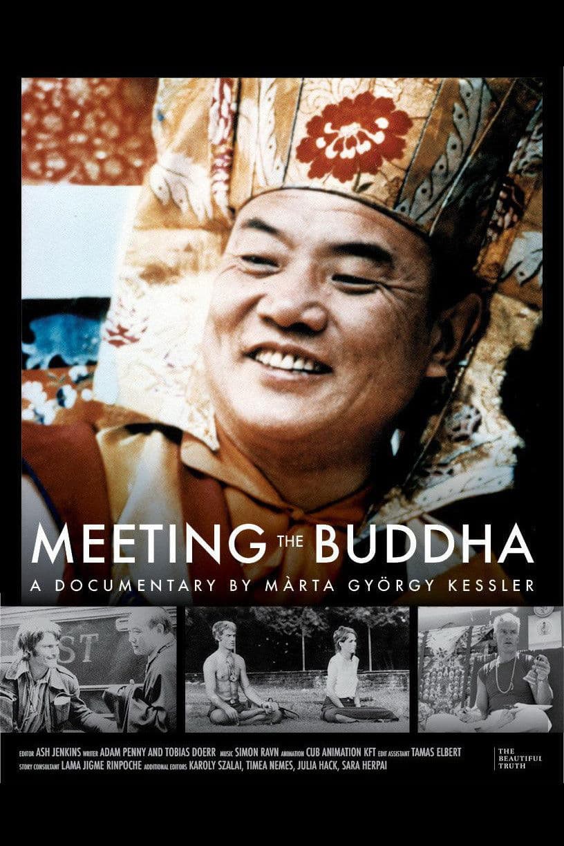 Meeting the Buddha backdrop
