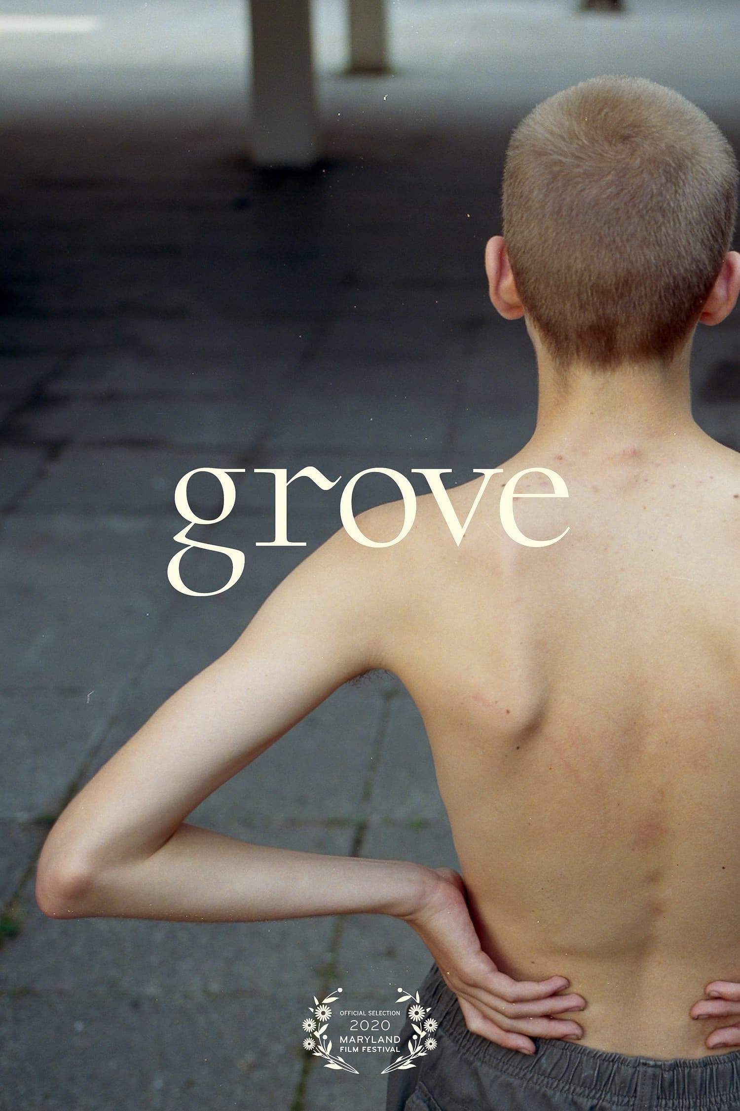 Grove backdrop