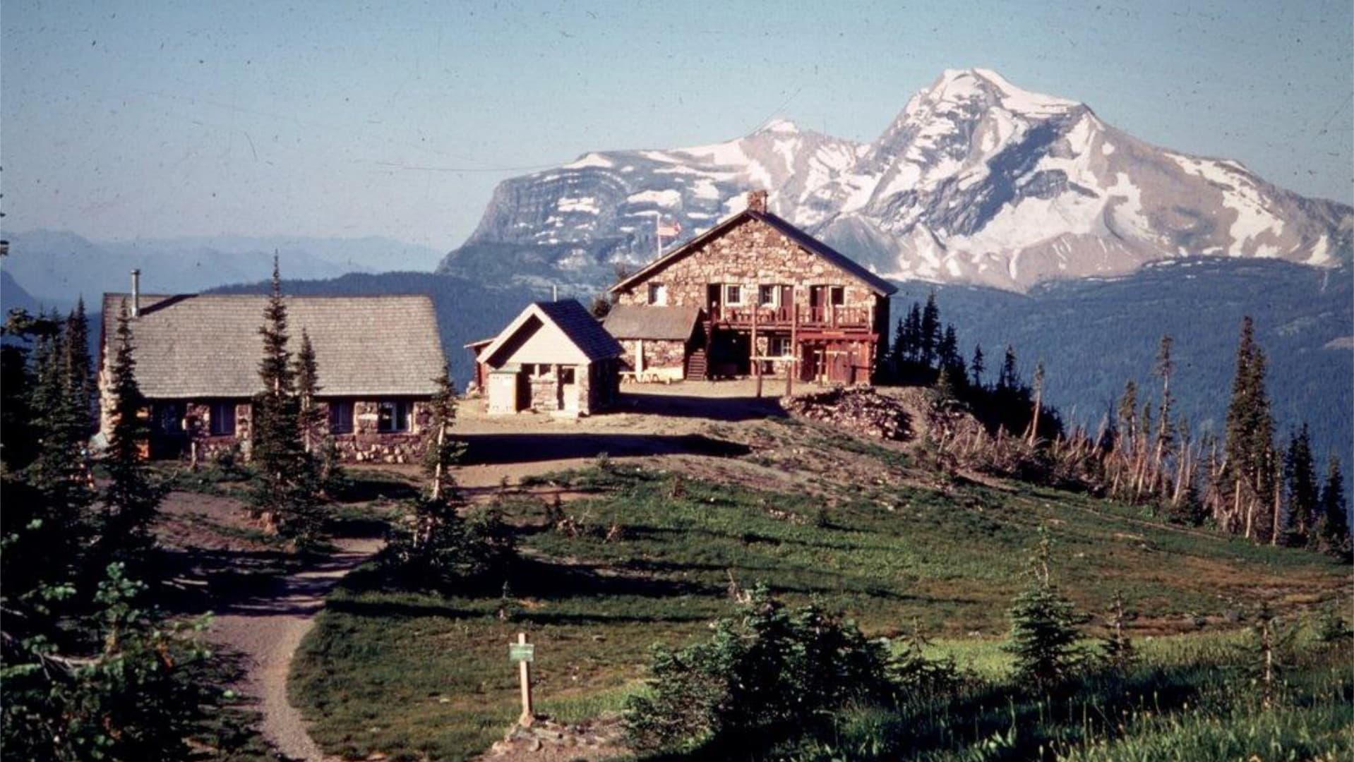 Glacier Park's Night of the Grizzlies backdrop