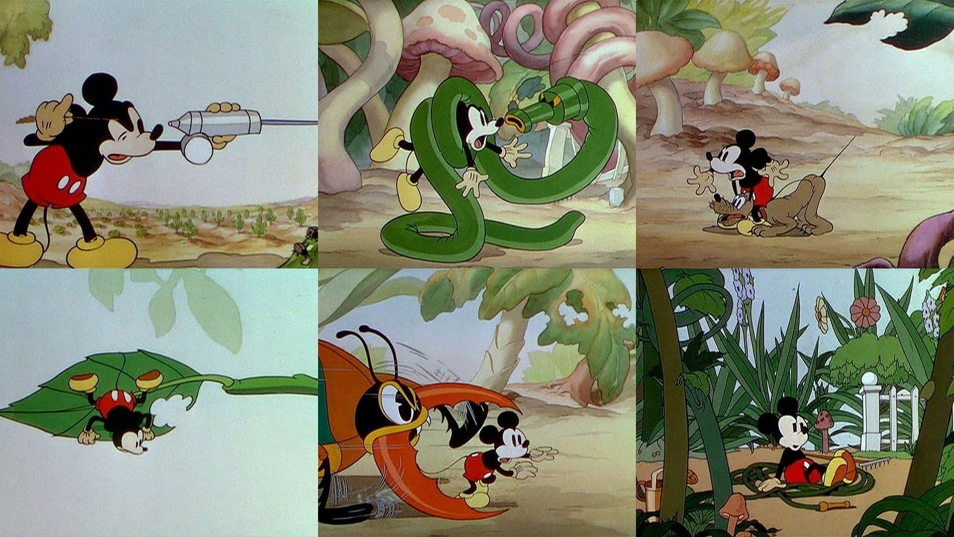 Mickey's Garden backdrop