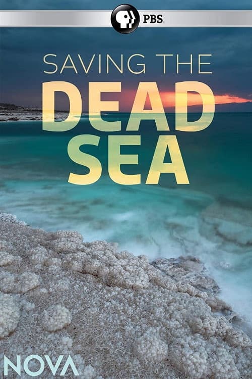 Saving the Dead Sea backdrop