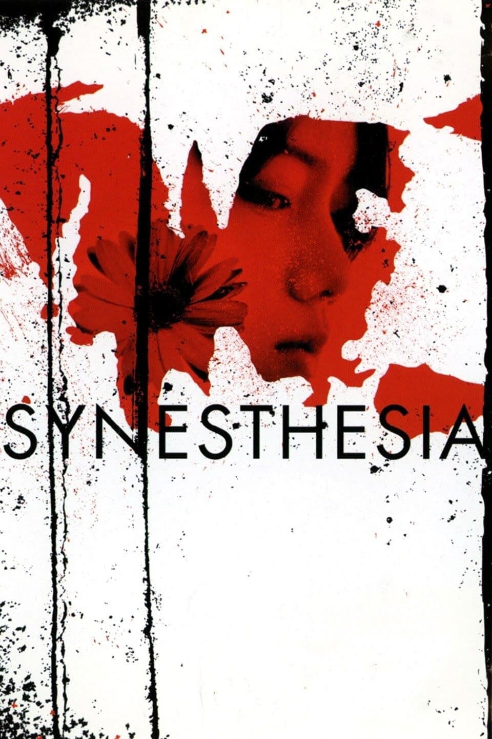 Synesthesia backdrop