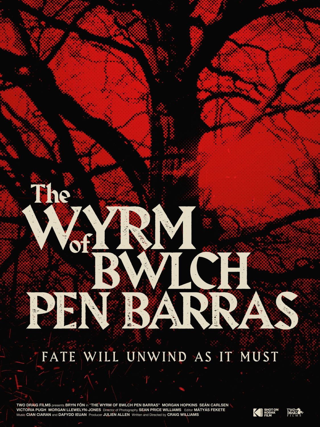 The Wyrm of Bwlch Pen Barras backdrop