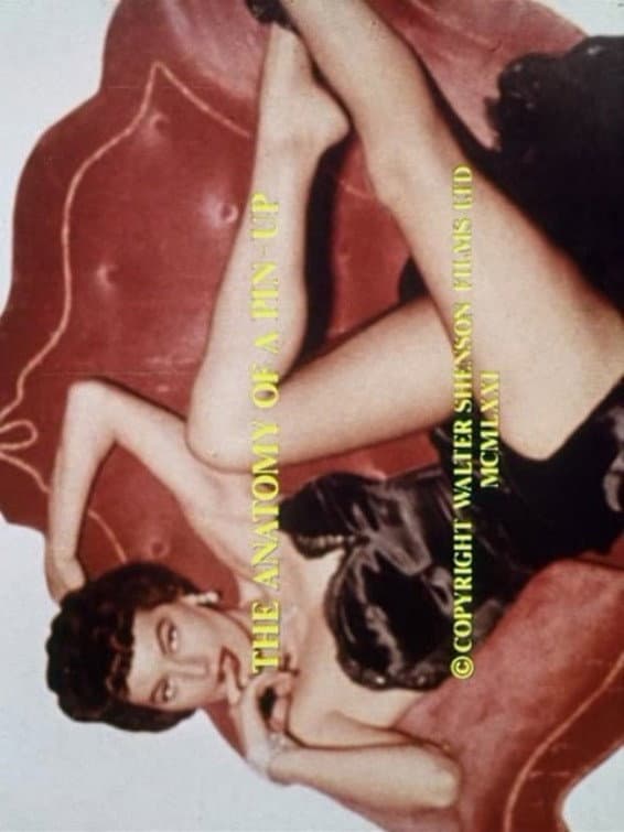 The Anatomy of a Pin-Up backdrop