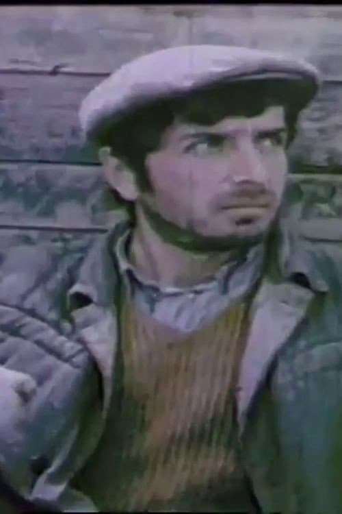 Tushetian Shepherd backdrop