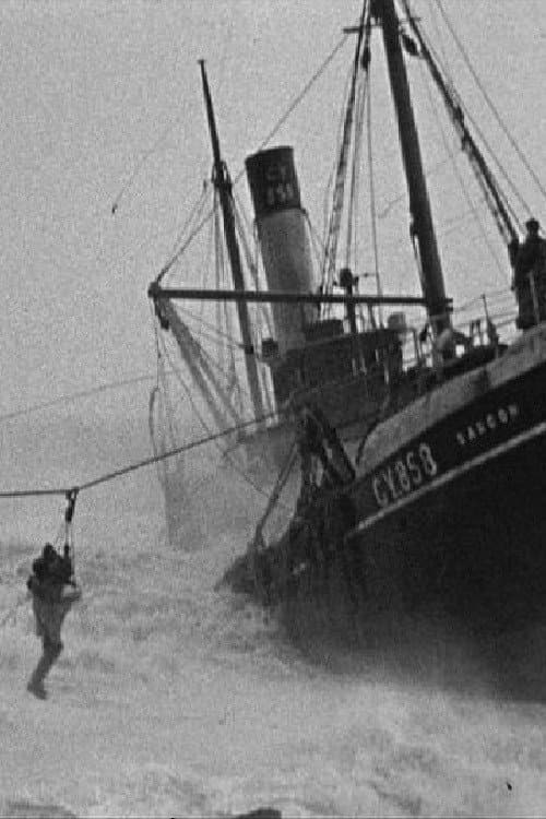 The Latrabjarg Rescue backdrop