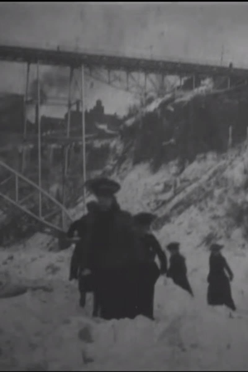 Crossing Ice Bridge at Niagara Falls backdrop