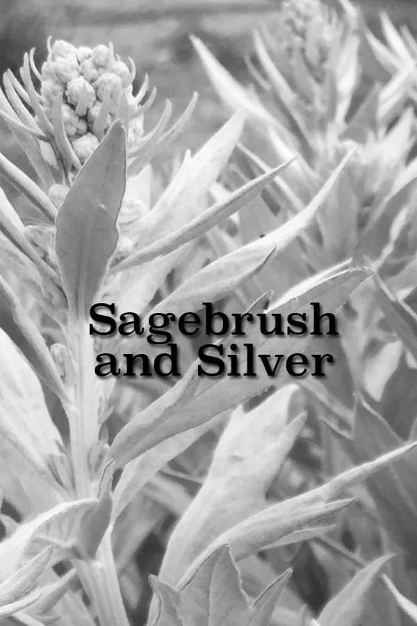 Sagebrush and Silver backdrop