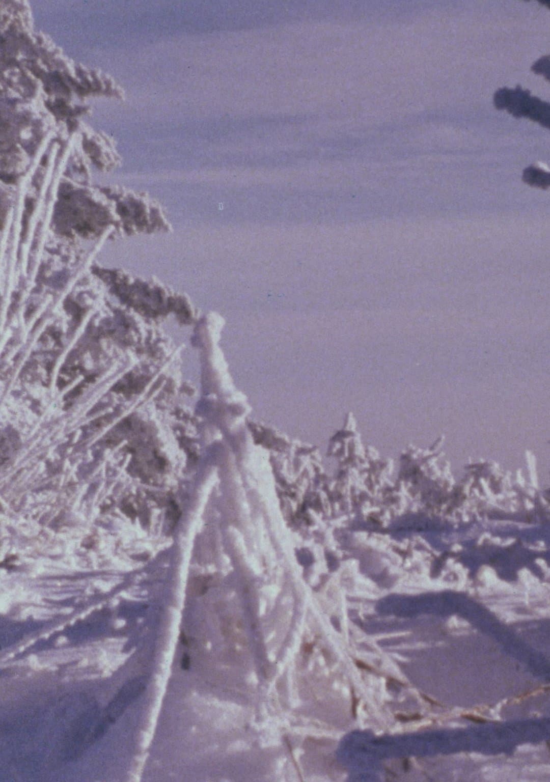 Roan Mountain Eulogy backdrop