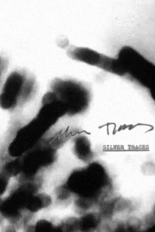 Silver Traces backdrop
