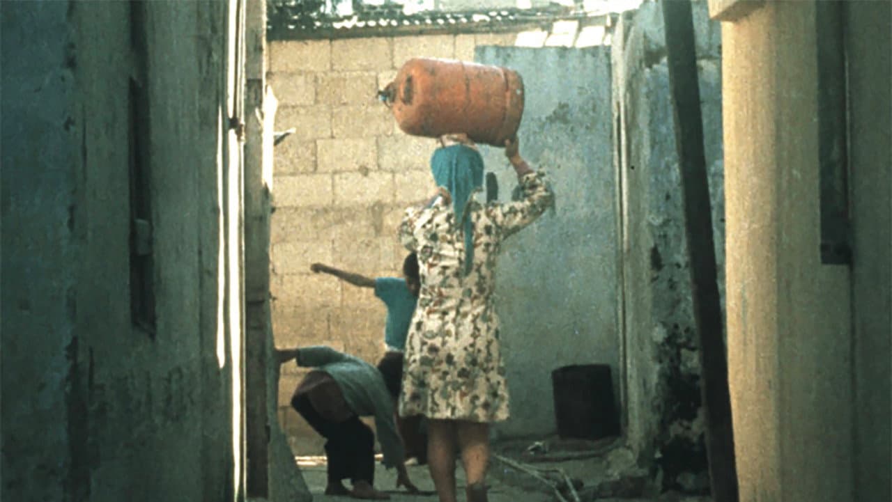 Palestinian Women backdrop