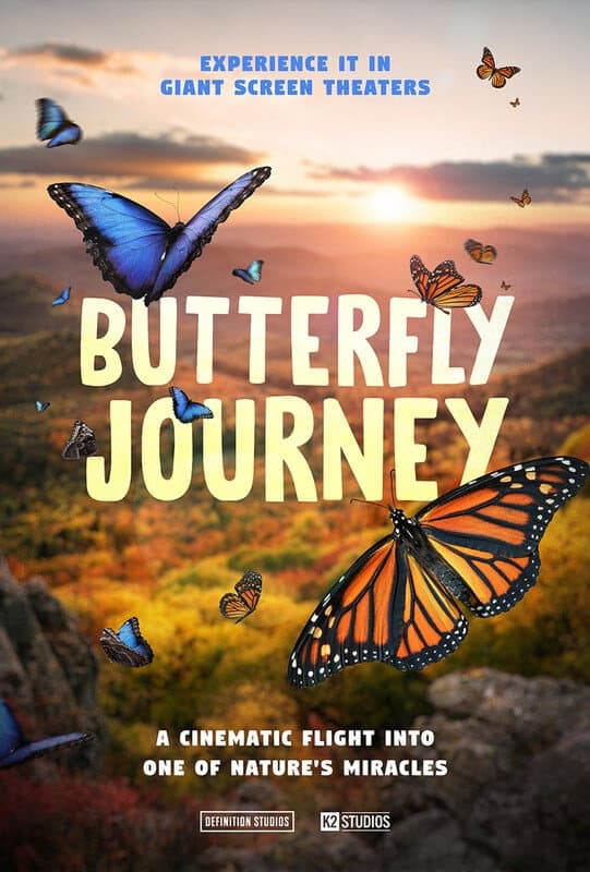 Butterfly Journey backdrop