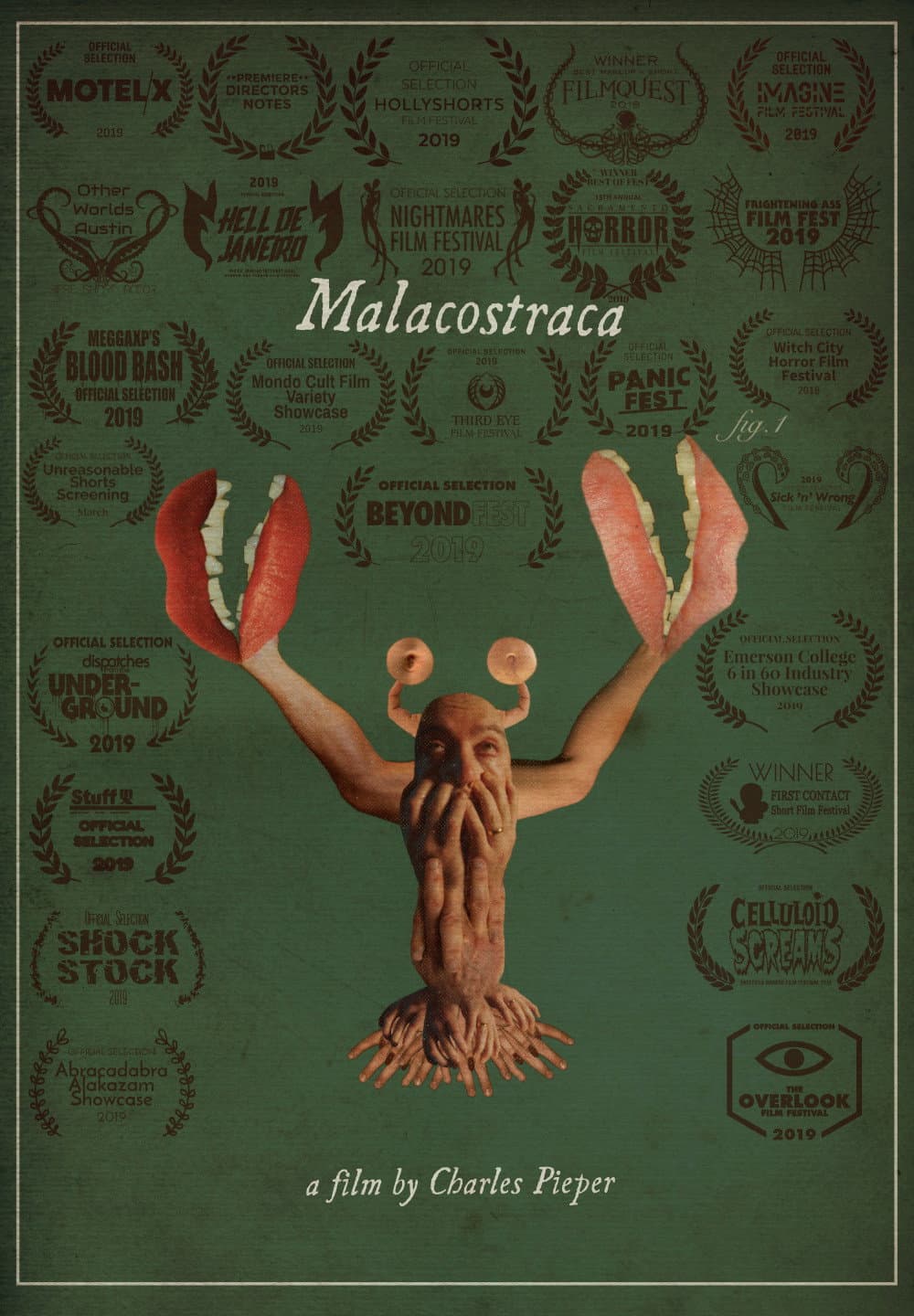 Malacostraca backdrop
