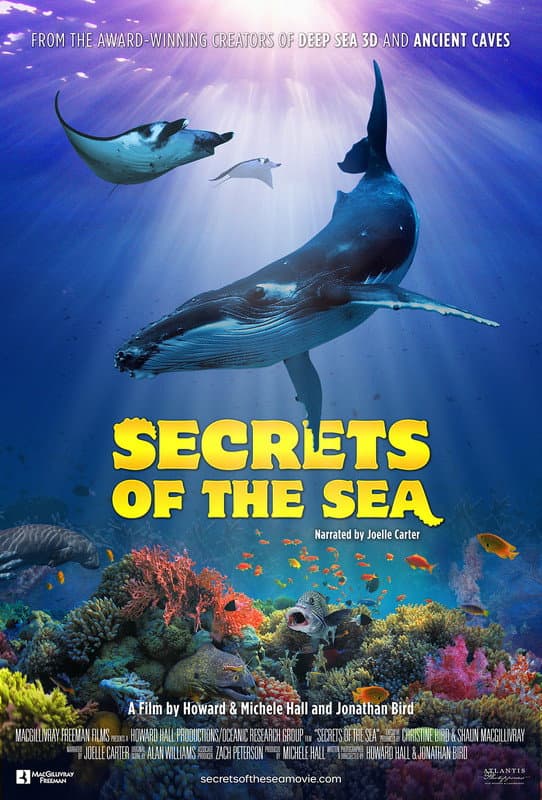Secrets of the Sea backdrop