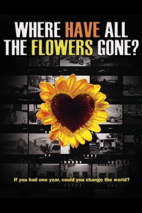 Where have all the flowers gone? backdrop