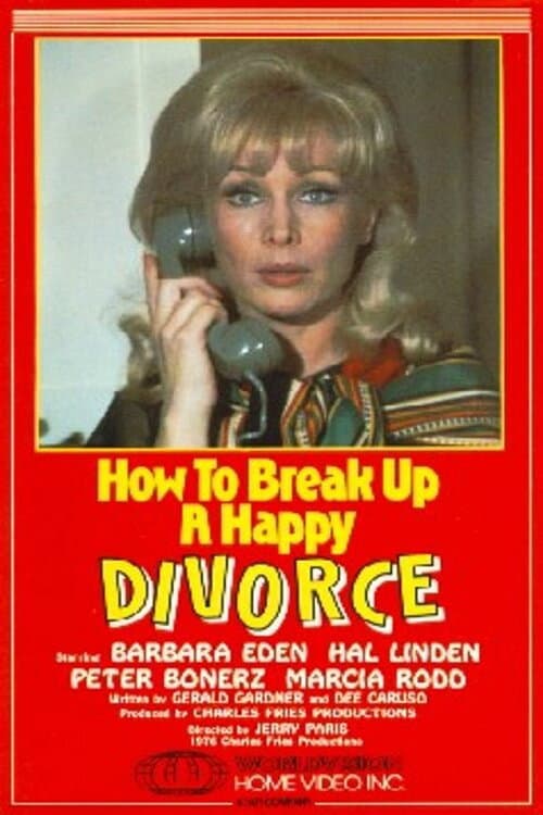 How to Break Up a Happy Divorce backdrop