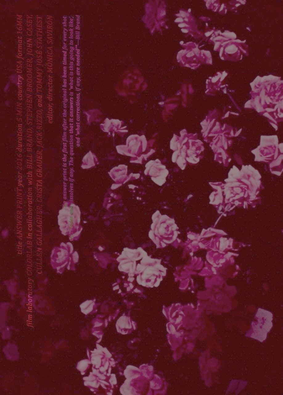 Answer Print backdrop