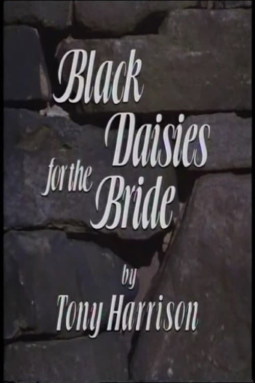 Black Daisies For The Bride backdrop