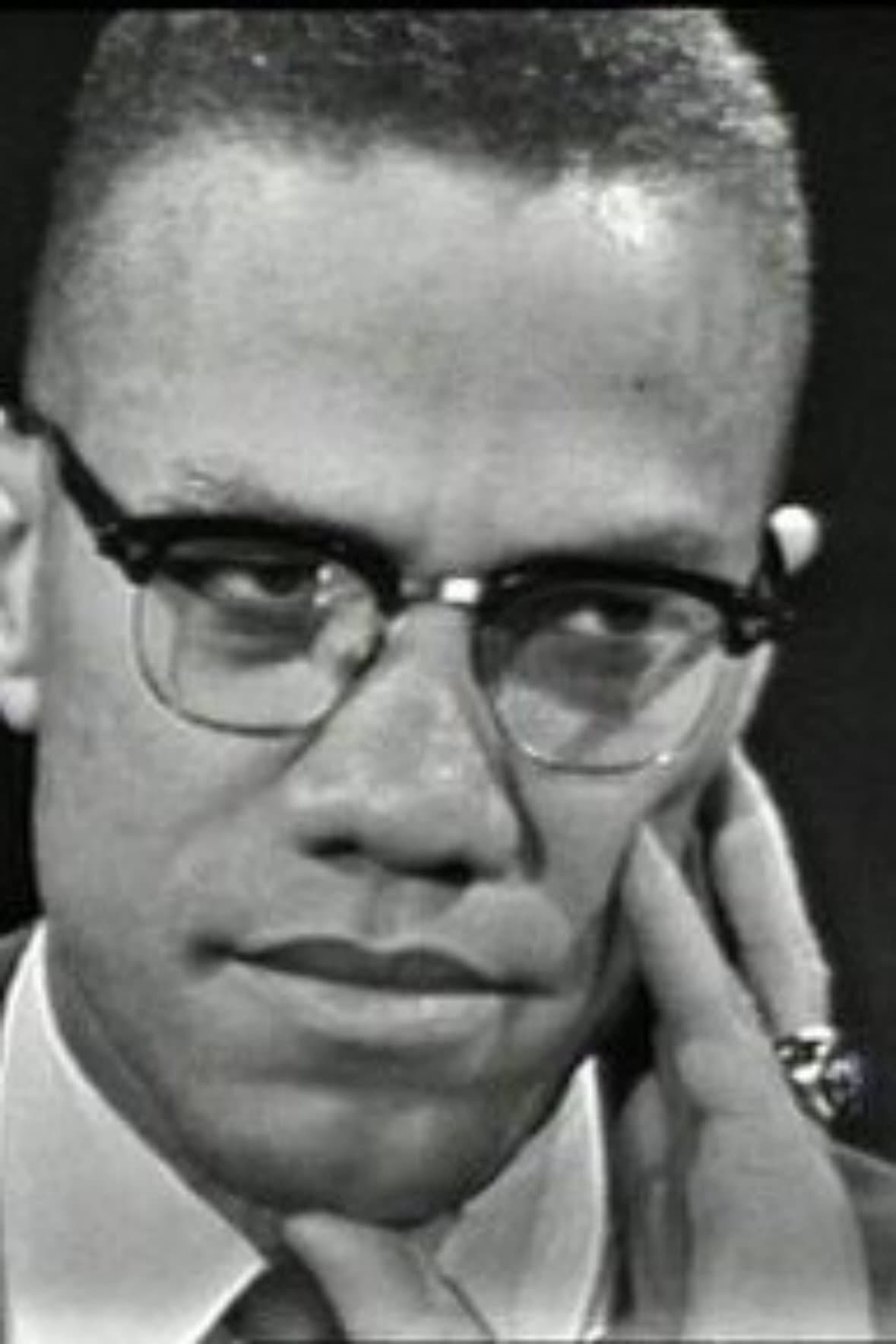 The Negro and the American Promise backdrop