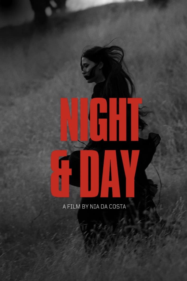 Night and Day backdrop