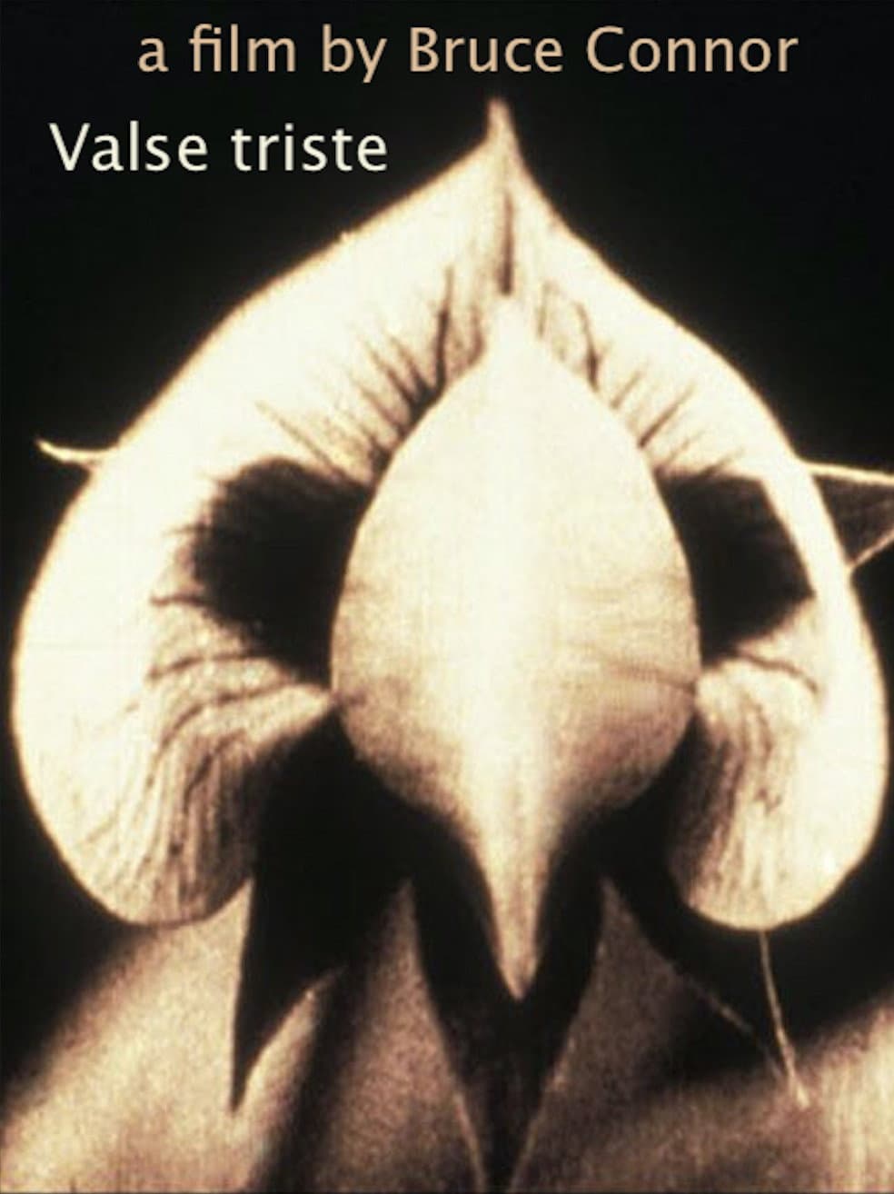 Valse Triste backdrop