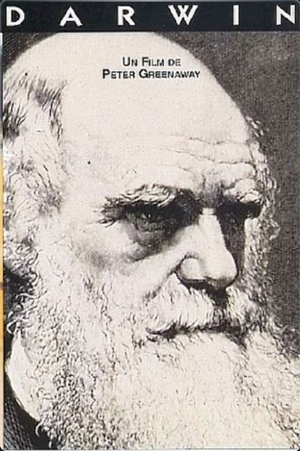 Darwin backdrop