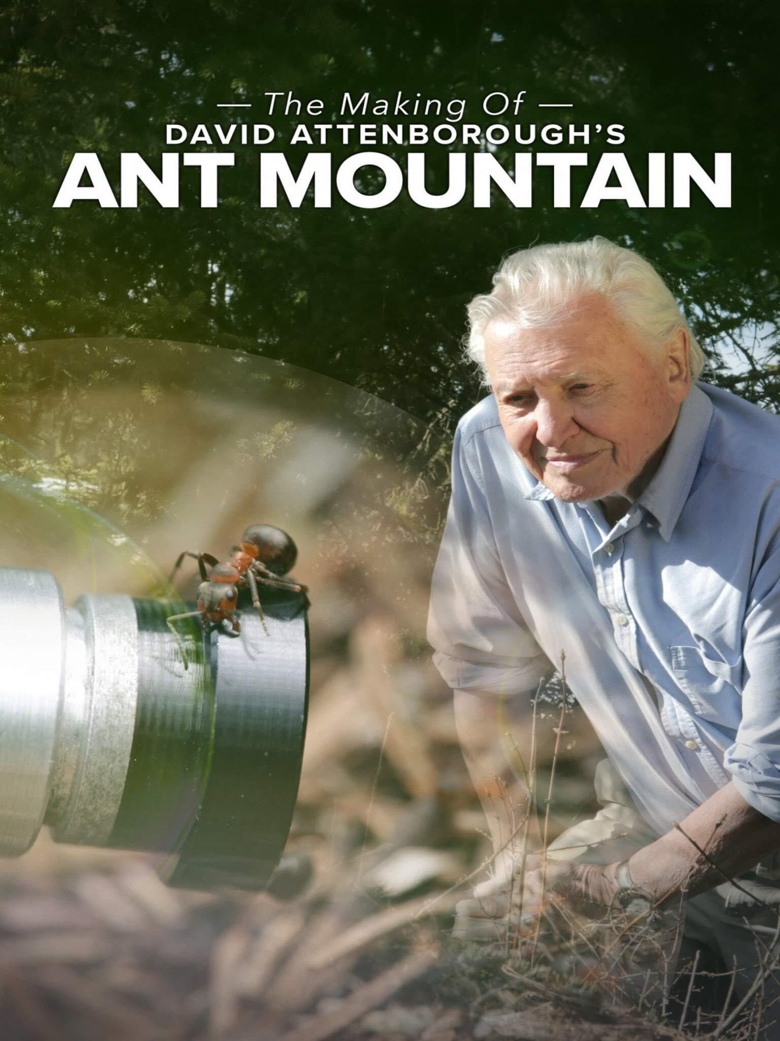 The Making of David Attenborough's Ant Mountain backdrop