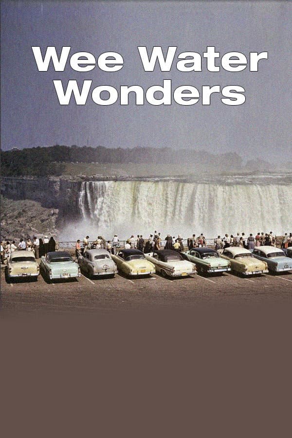 Wee Water Wonders backdrop