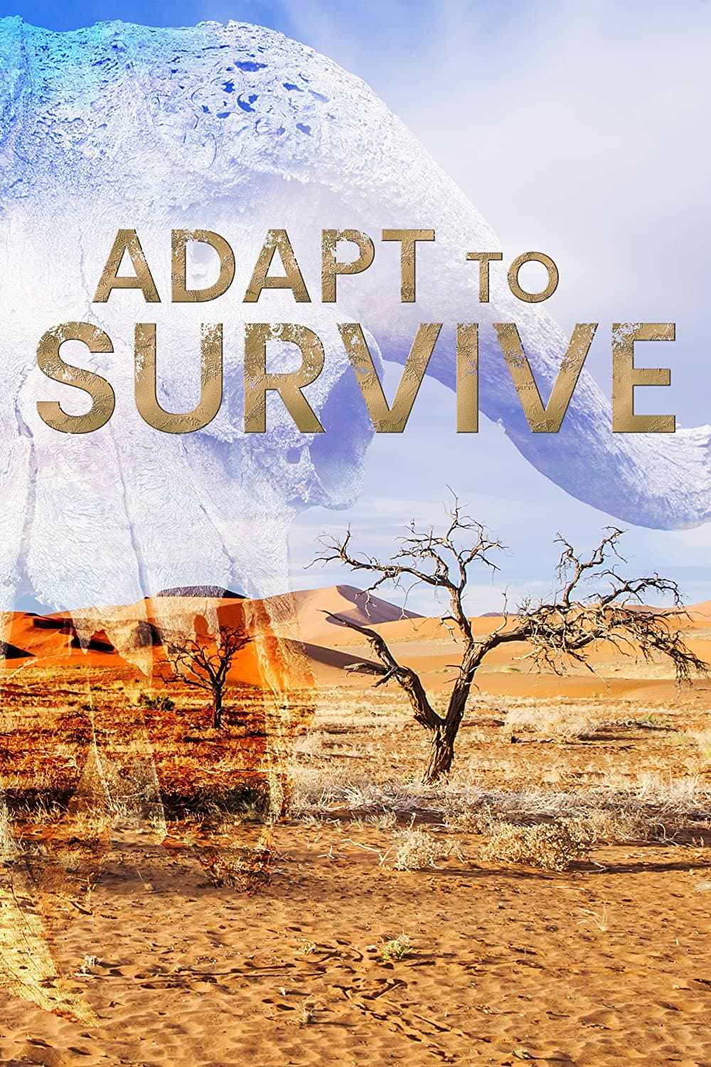 Adapt to Survive backdrop