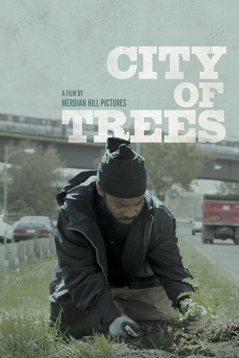 City of Trees backdrop