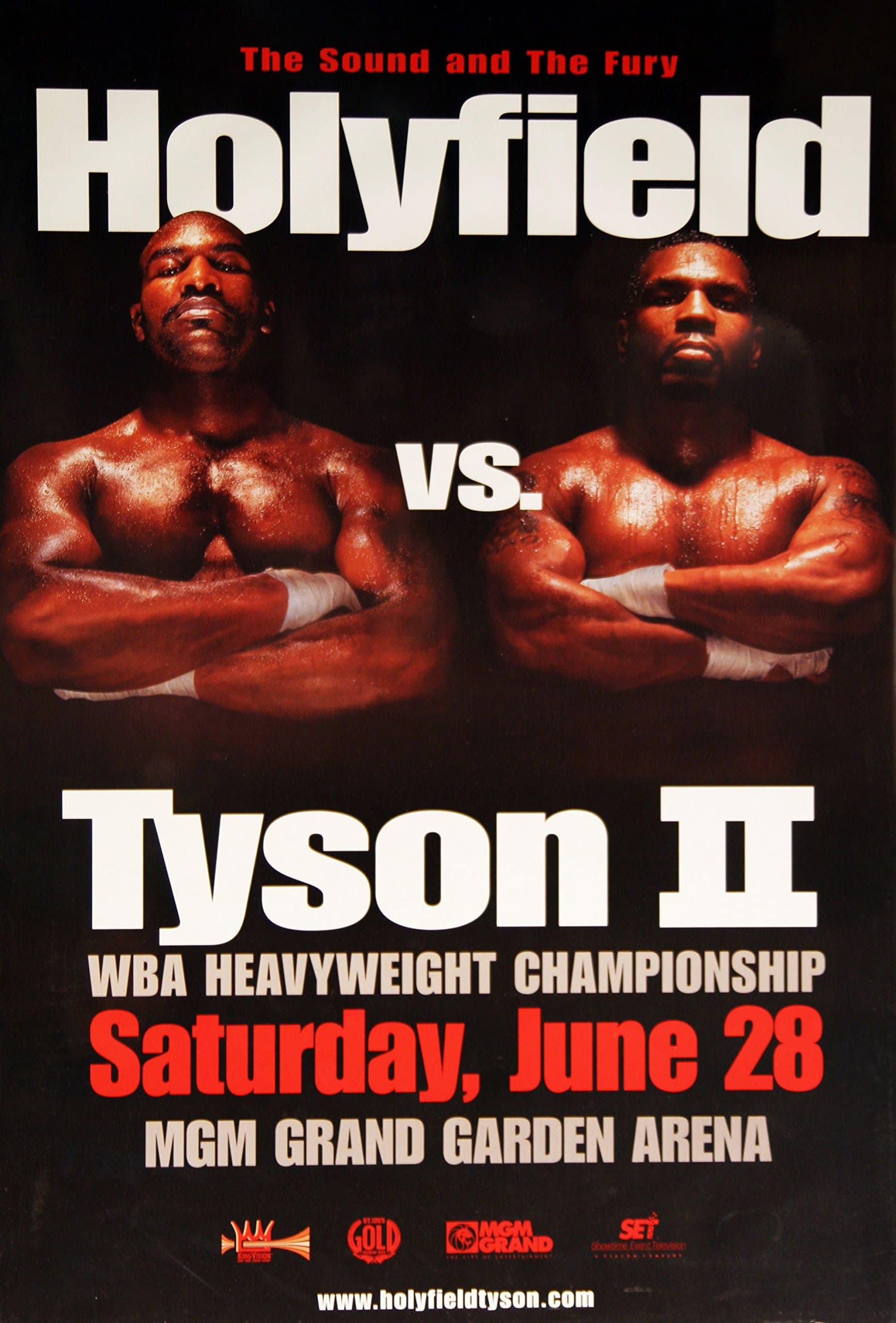 Mike Tyson vs. Evander Holyfield II backdrop