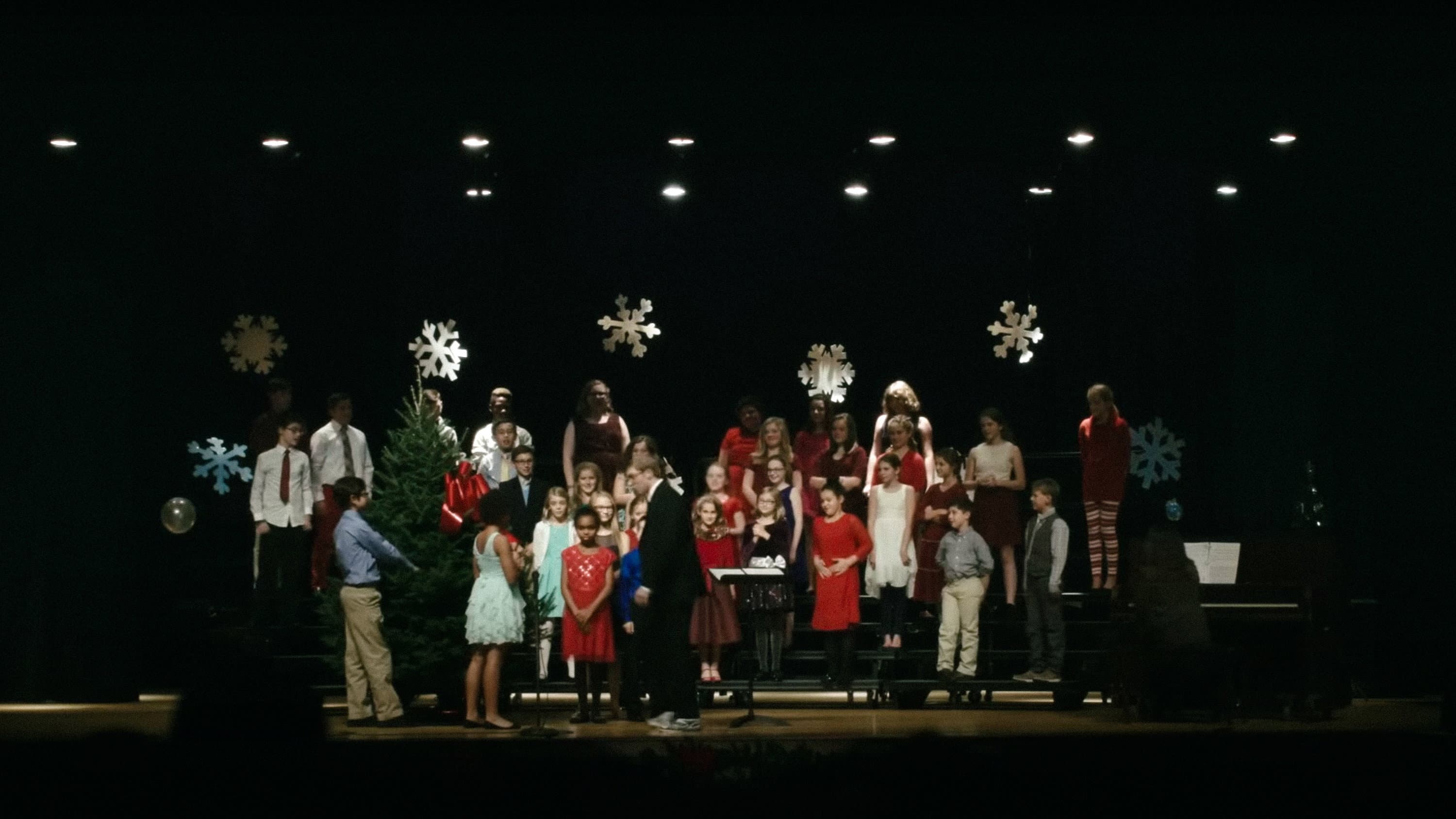 Joe Pera Helps You Find the Perfect Christmas Tree backdrop