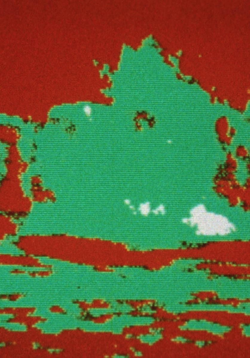 Autonomy backdrop