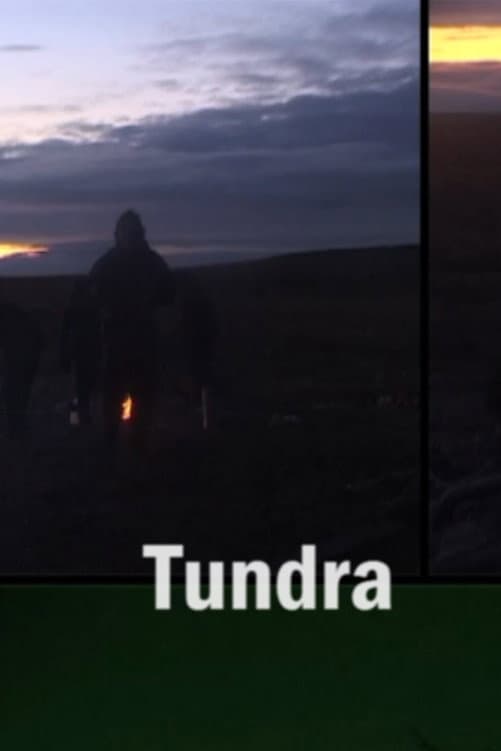 Tundra backdrop