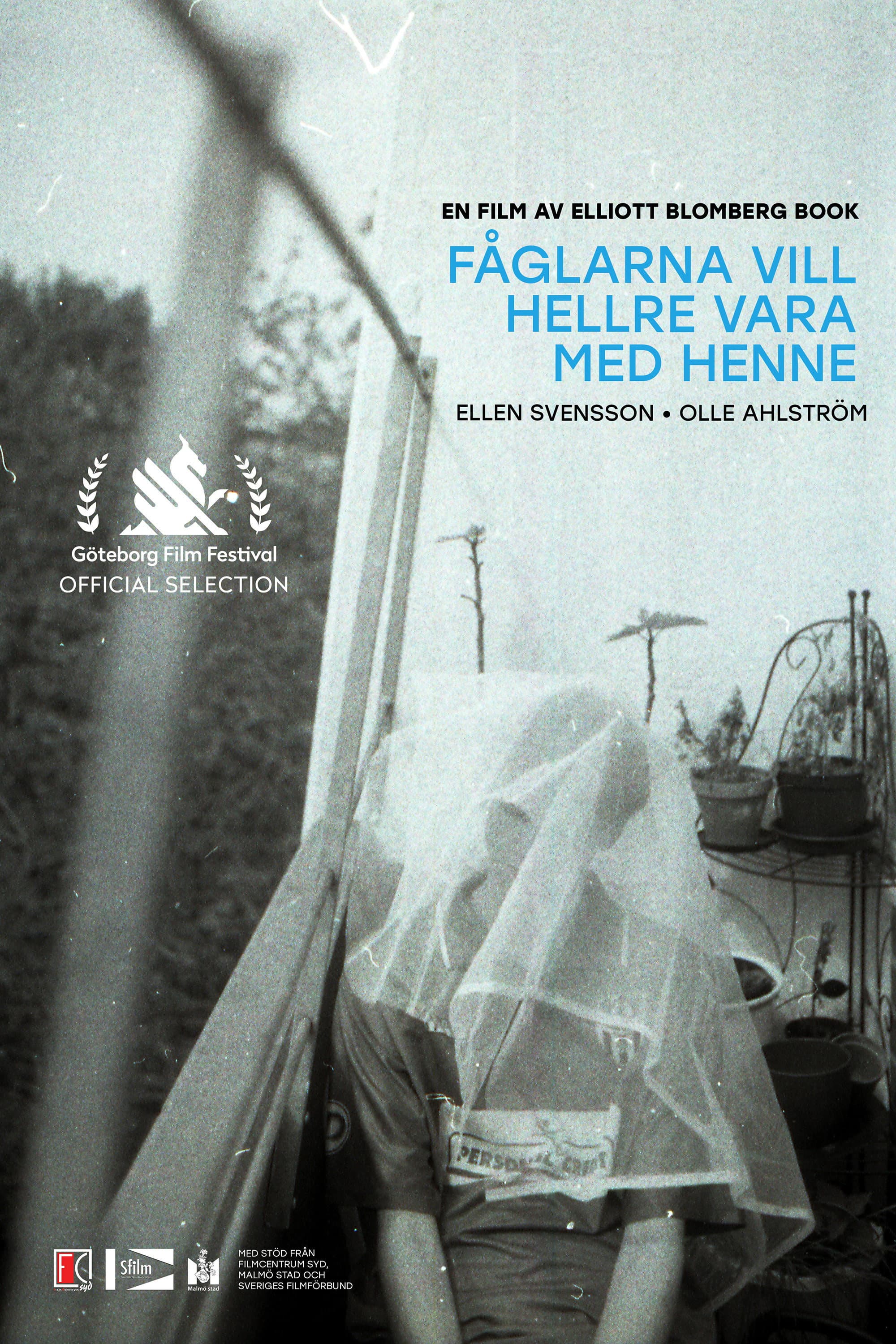 Fåglarna vill hellre vara med henne backdrop