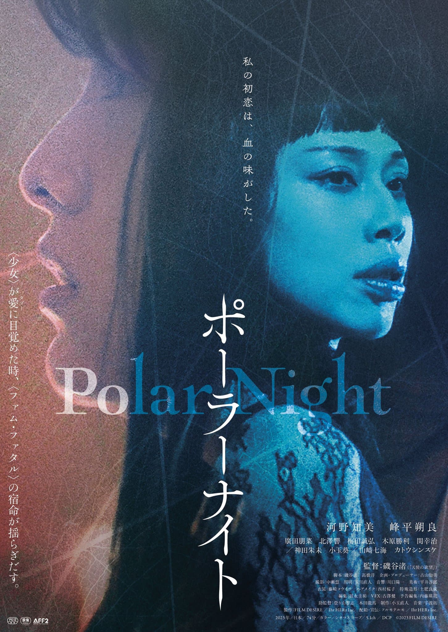 Polar Night backdrop