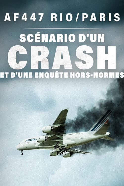 AF447 Rio/Paris : scénario d'un crash et d'une enquête hors normes backdrop