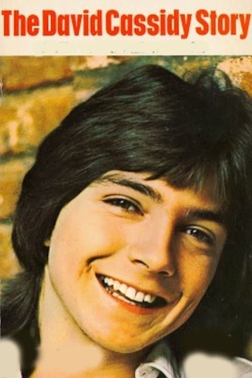 The David Cassidy Story backdrop