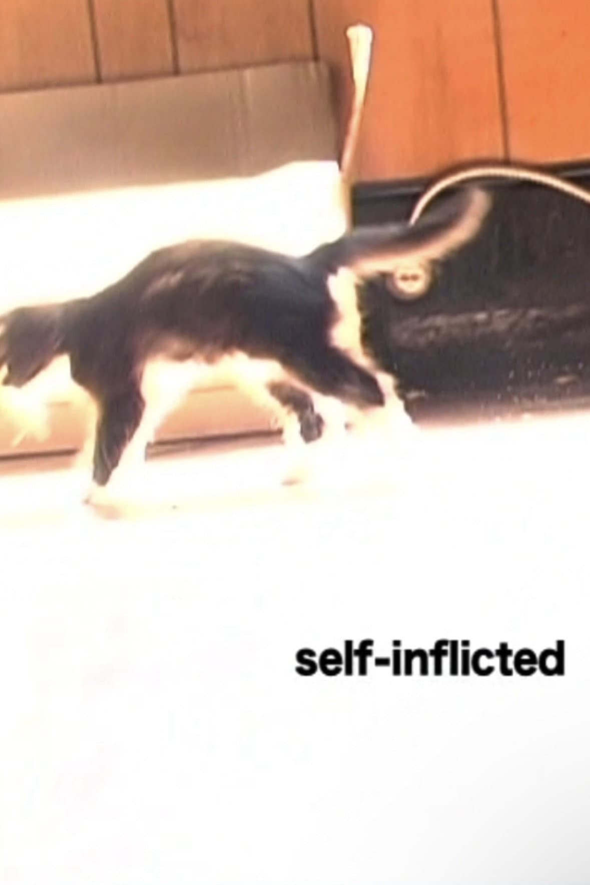 Self-Inflicted backdrop