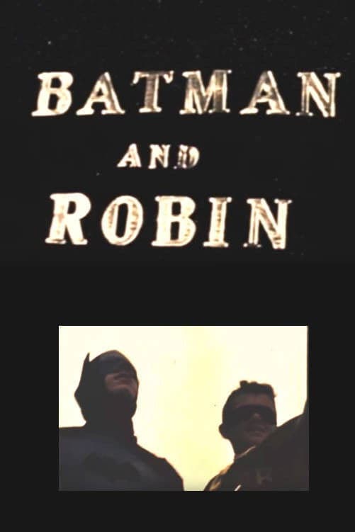 Batman and Robin backdrop