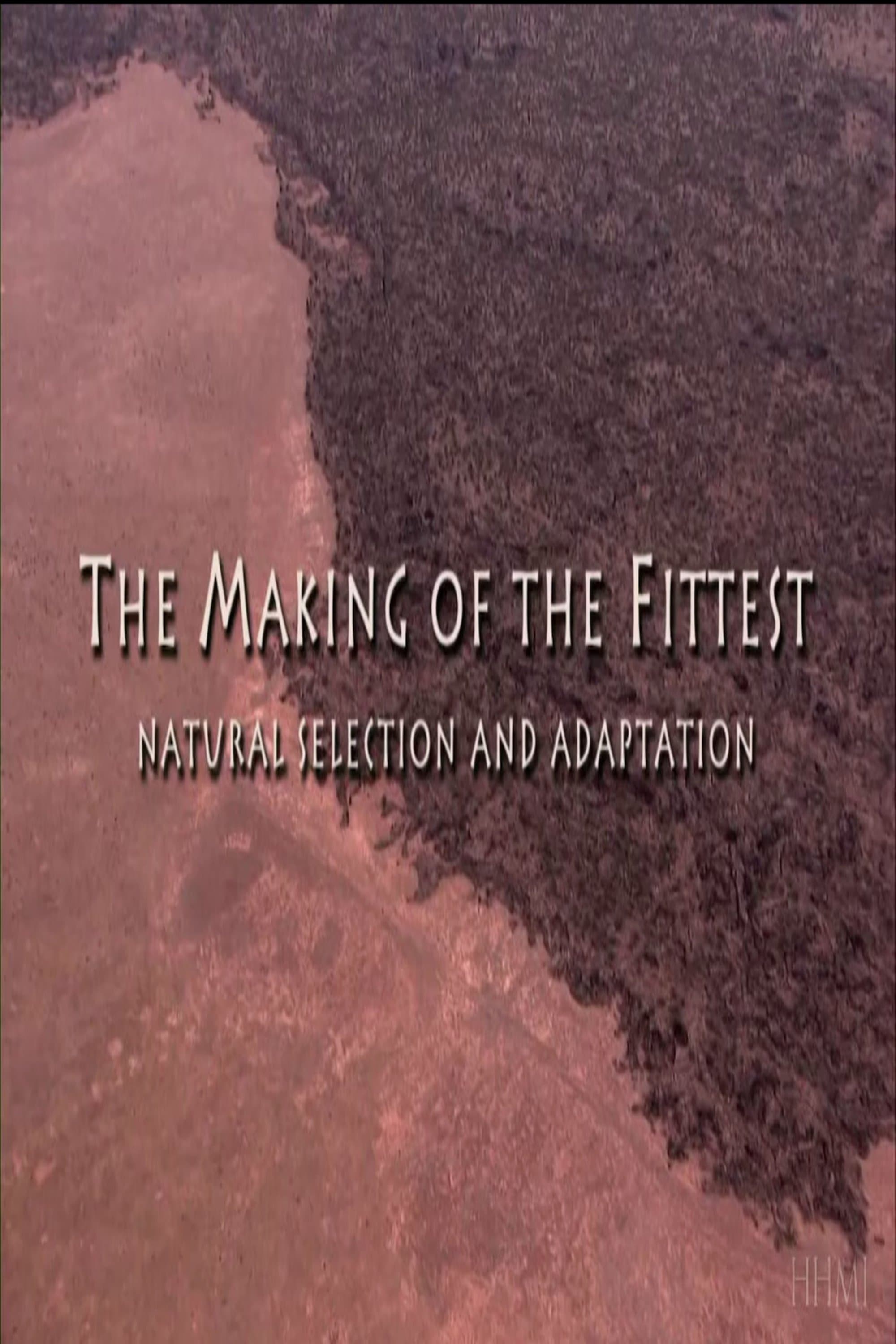 The Making of the Fittest: Natural Selection and Adaptation backdrop