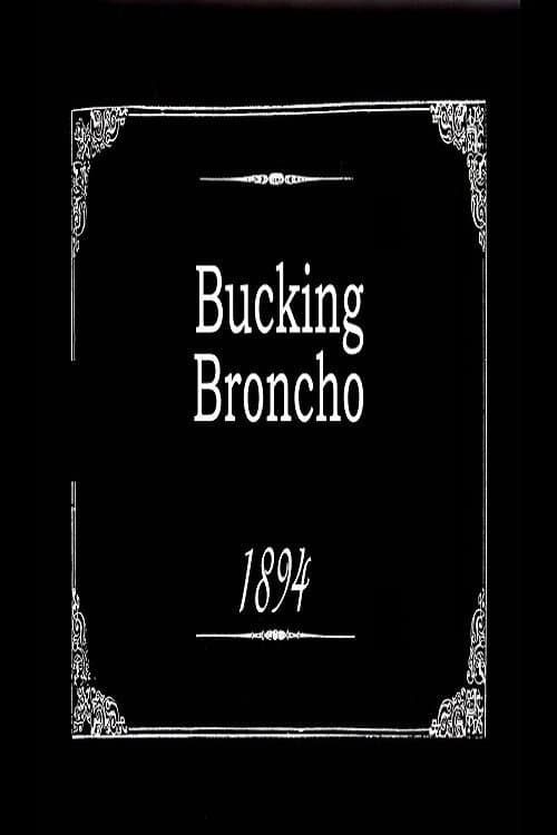 Bucking Broncho backdrop
