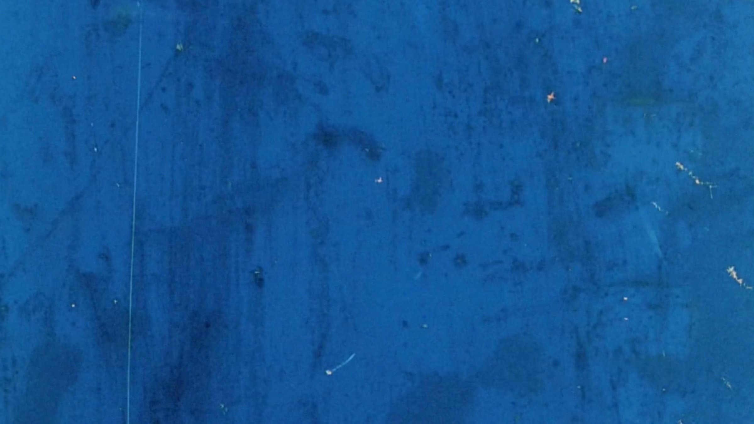 Sound of a Million Insects, Light of a Thousand Stars backdrop